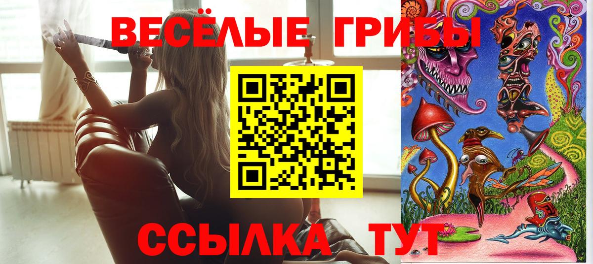 где найти   Псилоцибиновые грибы Cubensis  Вход с VPN  Йошкар-Ола  Псилоцибиновые грибы Cubensis 